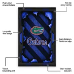 florida-gators-rug-torn-mesh-blue-best-selling.webp