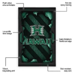 hawaii-rainbow-warriors-rug-torn-mesh-green-best-selling.webp
