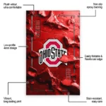 ohio-state-buckeyes-rug-cracked-surface-design-scarlet-best-selling.webp