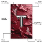 troy-trojans-rug-cracked-surface-design-red-best-selling.webp